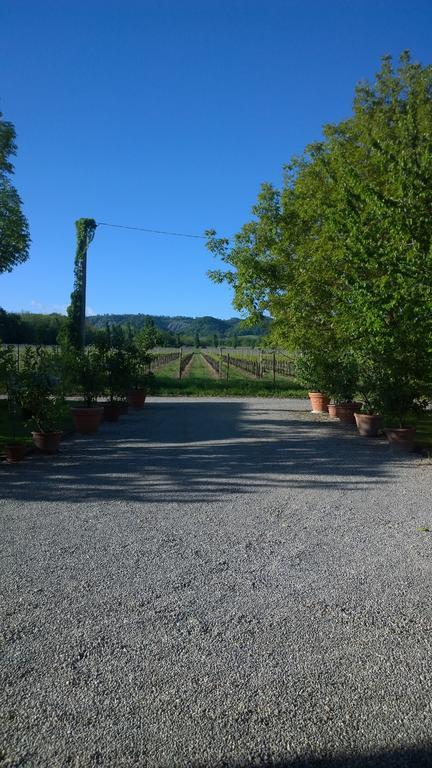 La Vigna dei Peri Villa Quattro Castella Esterno foto